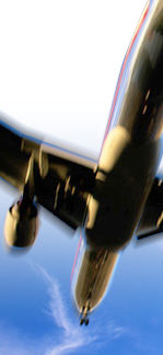 Fly away with Compass Points Adventures